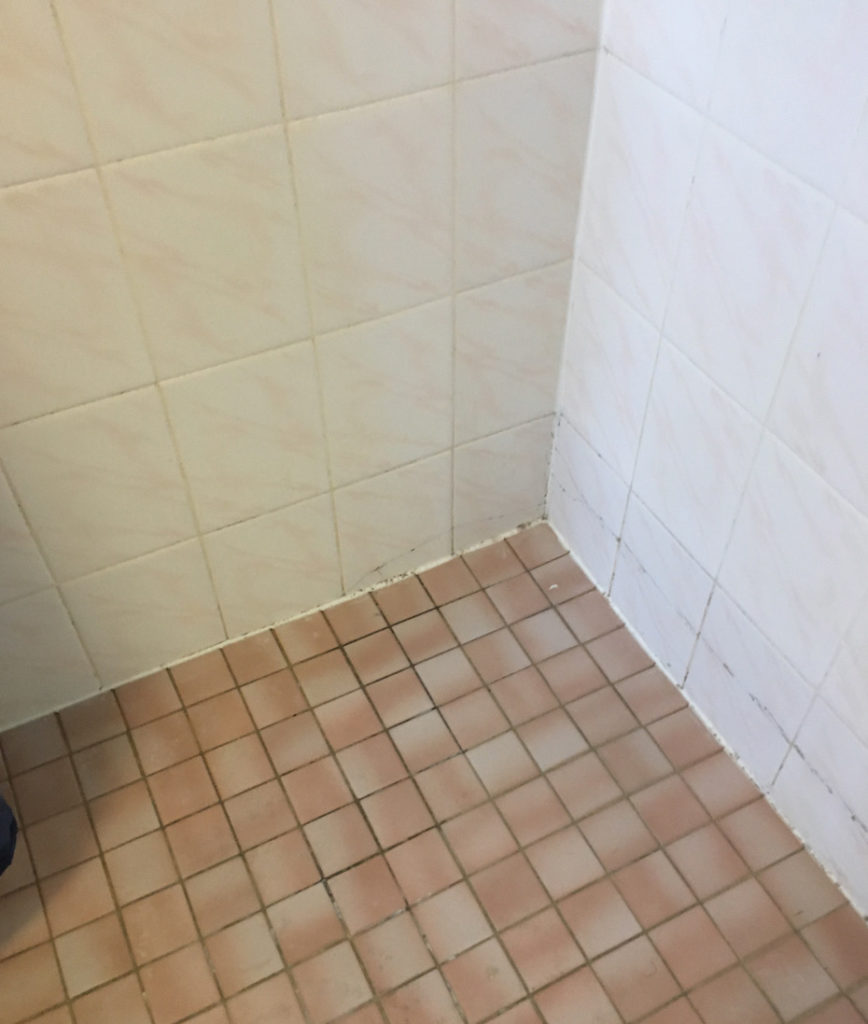 Tile and grout cleaning, tile, and, grout, cleaning