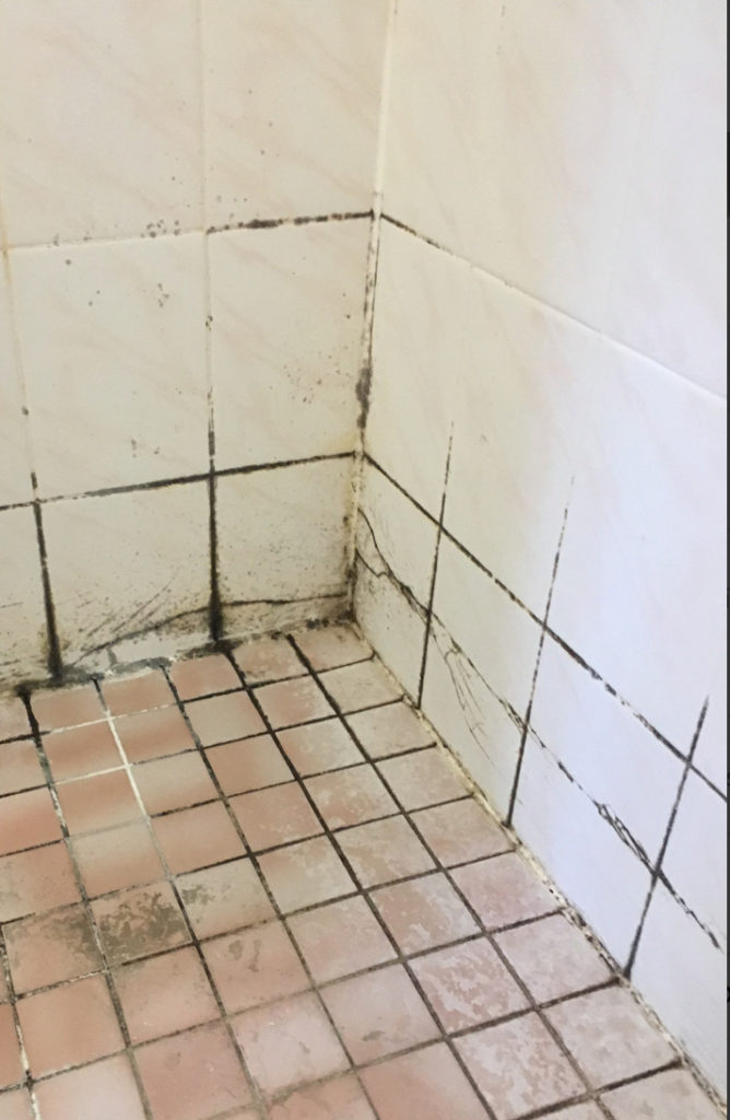 Tile and grout cleaning, tile, and, grout, cleaning