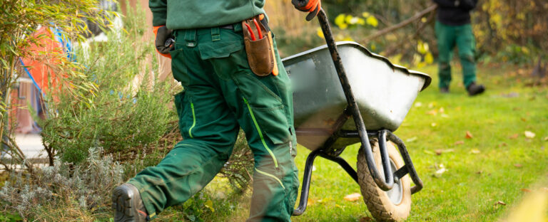Property Maintenance